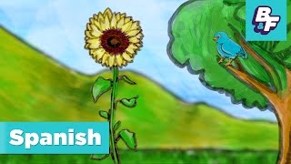 Spanish Song About Love And Life By Basho Friends - Cada Semilla