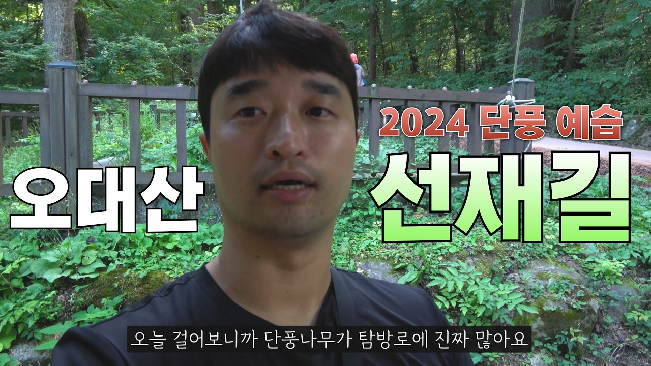 가을이 오면 생각나는 길 【오대산국립공원 선재길】