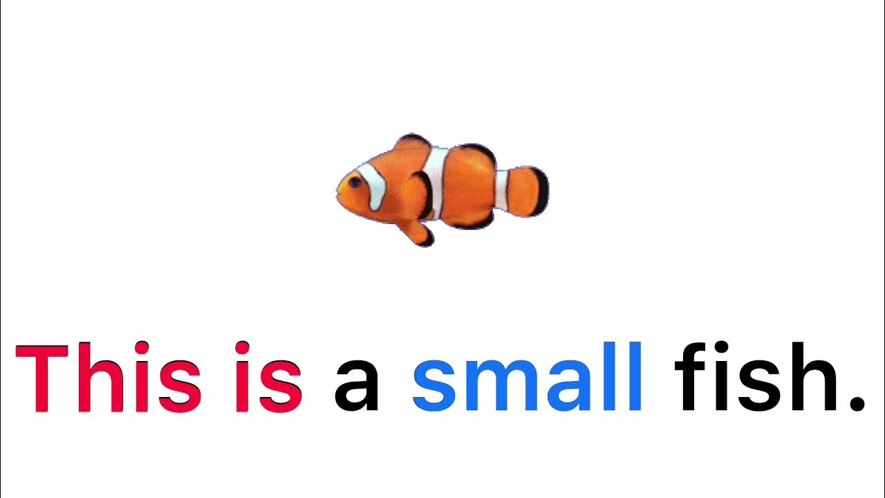 English Sentences 3 A fish YouTube