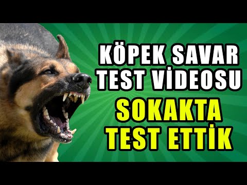 Köpek savar işe yarıyor mu - Test Ettik