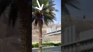 Ada Istana Dajjal Di Jabal Habsyi? Simak Video Sampai Akhir Yaa