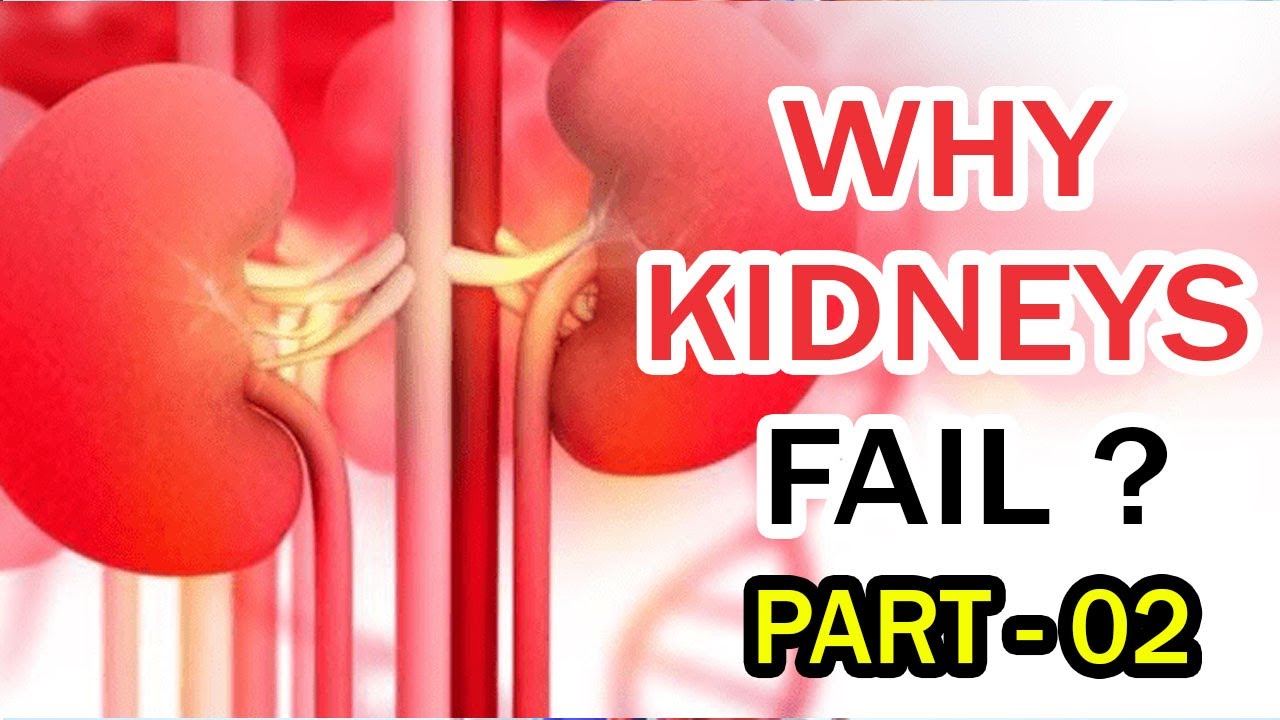 symptoms of kidney fail