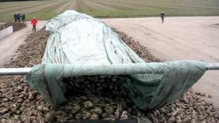 Machinaal Bietenhoop Afdekken Met Toptex