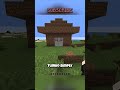 This Video Should Not Exist! #minecraft