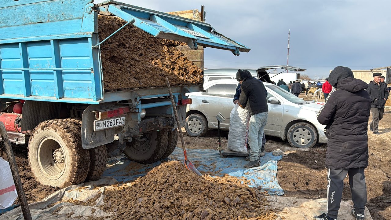 ХОРАЗМ ЕМ ХАШАК БОЗОРИ НАРХЛАРИ. ДОНЛИ СИЛОС ЧИҚДИ 1-март 2026 г.