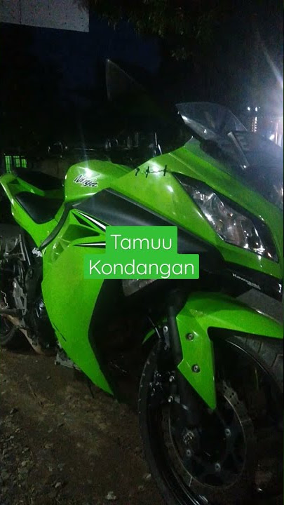 story wa tamu kondangan versi akustik