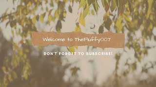 #HackTheBox Starting Point Series - Sequel Machine