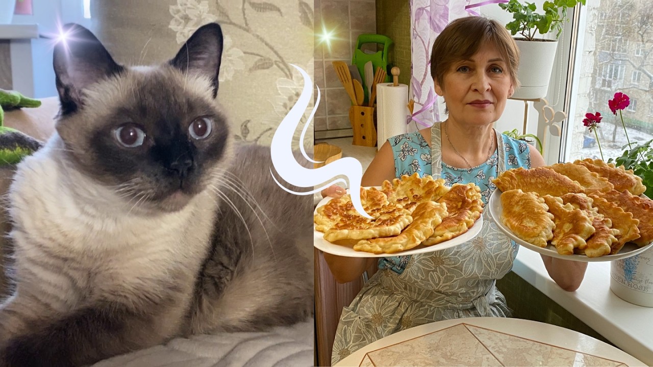 🍪 Пышные лепешки с творогом, даже кот проснулся от аромата 😽💖.