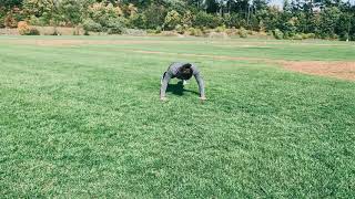 Pushup + Hip Tap