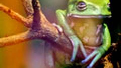 Reduce Noise in Photoshop Using Camera RAW |