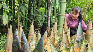 Harvesting giant bamboo shoots and wild rambutan to sell at the market - Ly Thi Tam