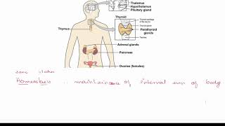 IGCSE Biology 0610 Immune system Part 3 Examples with questions