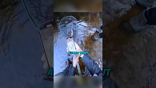 Now thats a Rare Fish😮‍💨