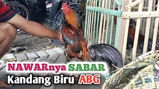 NAWAR AYAM BANGKOK NYA SABAR