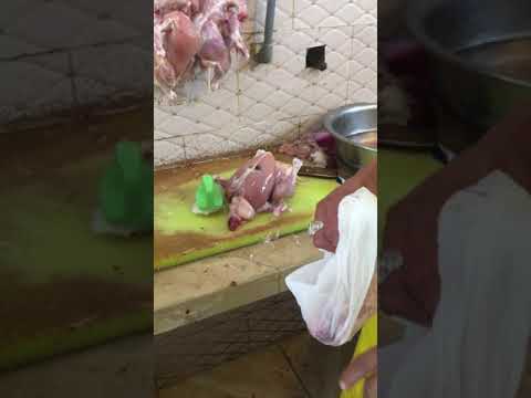 اغرب دجاجة لاحظ كيف تتحرك بعد الذبح