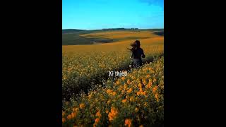 Wat Kiar Na Nga  Khraw Umdor Song  Khasi Song  shorts virals  khasi foryoupage
