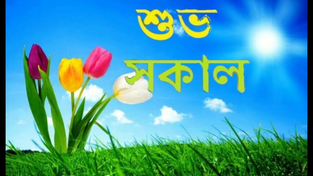 Bengali Language Good Morning Whatsapp Status Video Song Hd