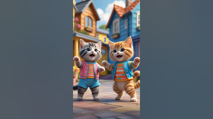 Sigma Boy Cat Dance #cute #cat #catdance #sigmaboy