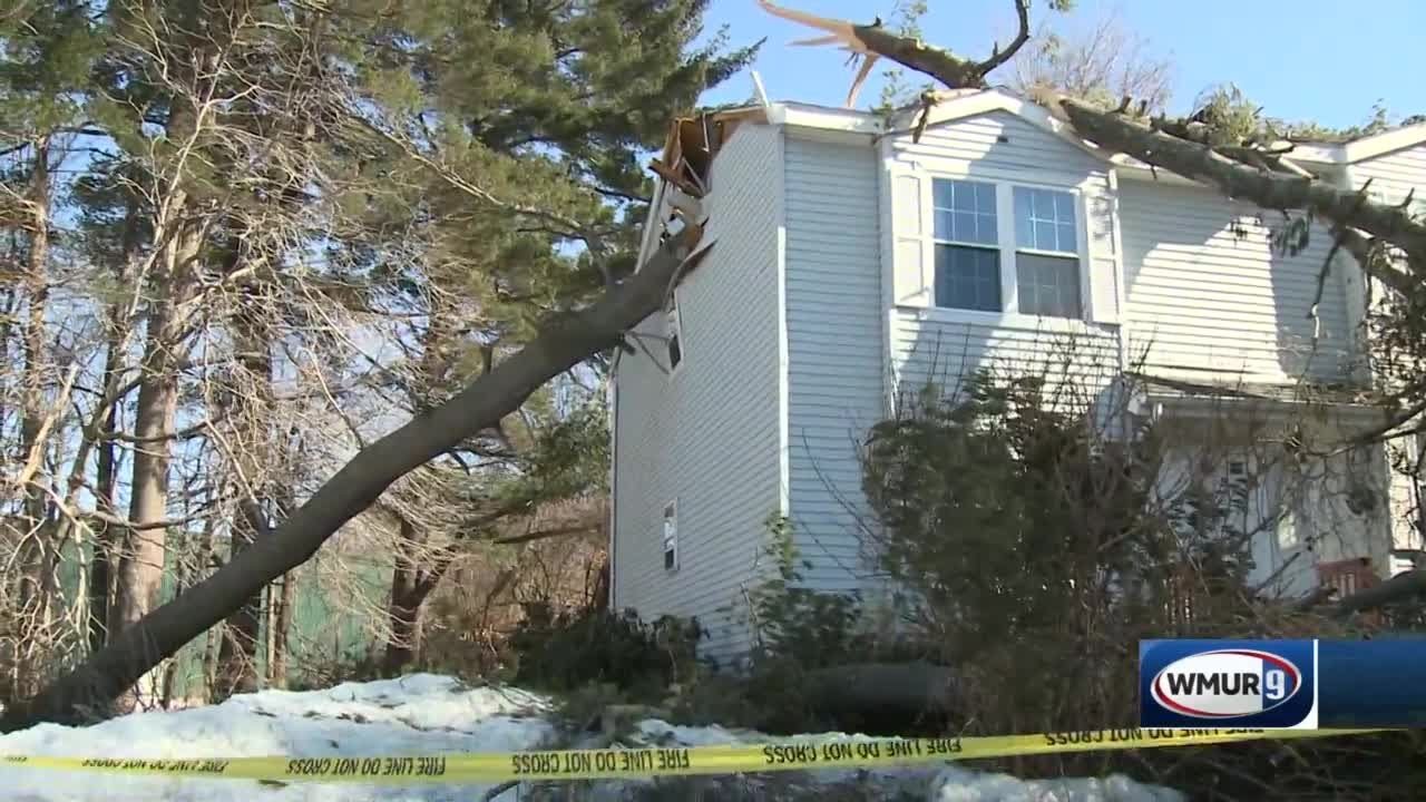 Strong winds bring down trees, knock out power to thousands during ...