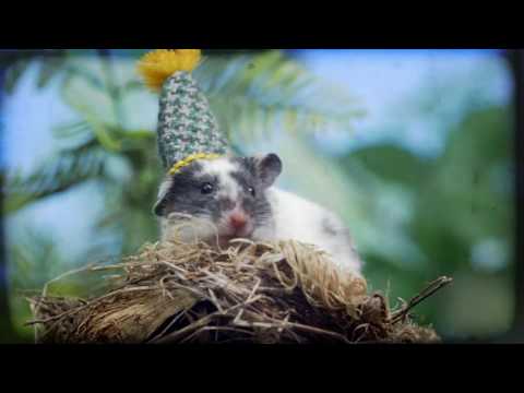 მსუნაგები ეპიზოდი 8 ტკბილი დეკემბერი