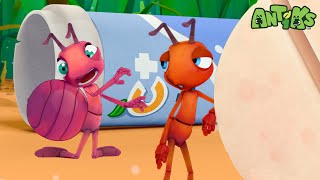 Download Lagu Boo is Inflating! | Antiks 🐜 | Funny Cartoons for Kids MP3