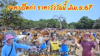 มาแล้วครับ #ราคาวัววันนี้ วัวไทย วัวเลี้ยง ราคาเป็ด🦆 ไก่🐔 วารินชำราบ อุบลราชธานี