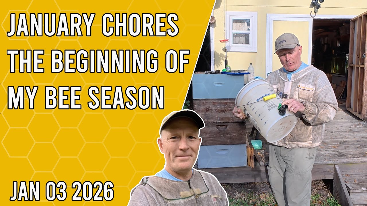 Январские дела по хозяйству - Начало моего пчеловодческого сезона - Джексонвилл, Флорида, зона 9b