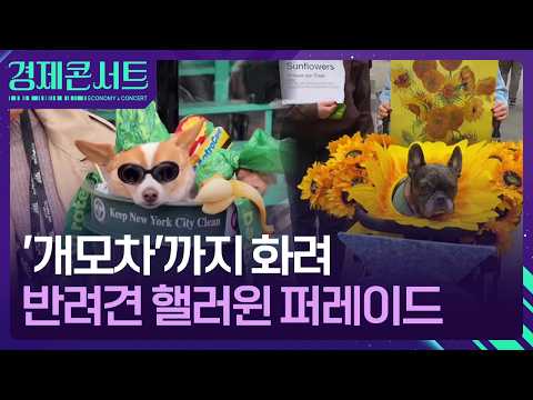 From 'Dog Strollers' to Dazzling Costumes... Dog Halloween Parade [Economic Concert] / KBS 10/20/...