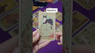 PREVISÃO SIGNO AQUÁRIO #horoscopo   #signos   #aquário  #tarot #horoscope2026