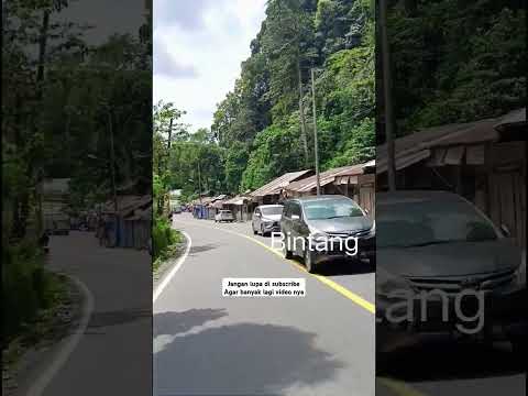 Kondisi terkini jln lembah anai awal bulan Desember 2024 #automobile #travel #wisata Kondisi terkini jln lembah anai awal bulan Desember 2024 #automobile #travel #wisata