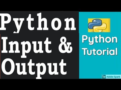 how to input and output in python _ Basic Input and Output