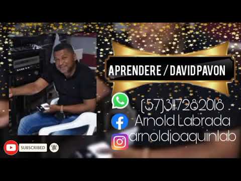 Aprenderé / David Pavón