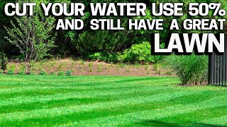 Have a Lawn with 50% less water. BEST TIPS