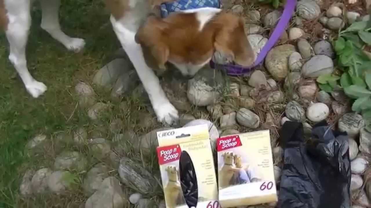 Biodegradable Poop N' Scoop Bags biodegradablebags YouTube