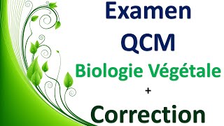 Examen QCM Biologie Végétale & Correction