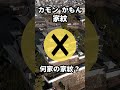 【さくっと】 カモン かもん 家紋 -3 【1分】 #歴史 #雑学 #クイズ