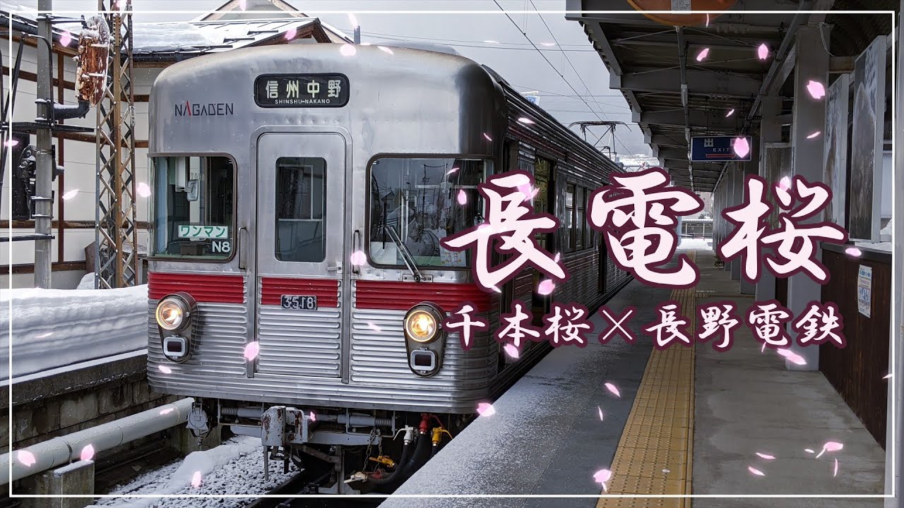 『中学生制作』長電桜【千本桜×長野電鉄】