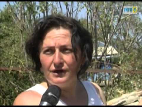 დაზარალებულების განაცხადი