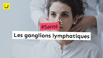 Où se situent les ganglions lymphatiques ?