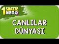 TYT Biyoloji Canlılar Dünyası Konu Anlatımı #kamp2023