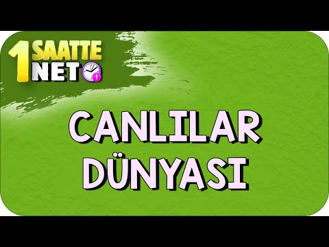 Video: Hangi organizmalar hareket etmek için Pseudopod'ları kullanır?