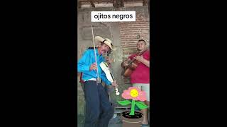 OJITOS NEGROS, PANCHITO Y ROY COVER 