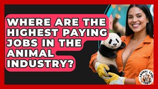 Where Are the Highest Paying Jobs in the Animal Industry? - Animal Care Jobs