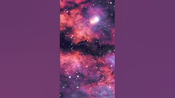 Nebulae in The Northern Cross by AstroBackyard (Trevor Jones) #space #nebulae #universe