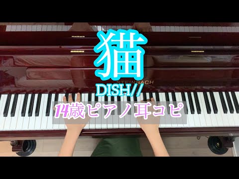 【猫（cat）】-DISH// を耳コピしてみた！14歳ピアノ。「今、練習しています！＃05」