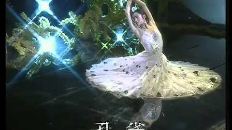 1989年央视春节联欢晚会 舞蹈《舞之魂》 杨丽萍| CCTV春晚 - 天天要闻