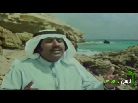 حالي حال