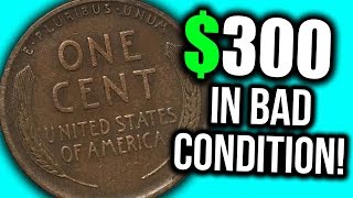 SUPER EXPENSIVE OLD PENNY COINS TO LOOK FOR!! 1914 WHEAT PENNIES WORTH MONEY