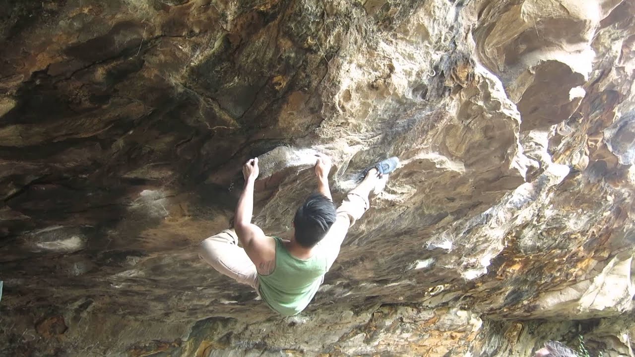 Chaos and Disorder - Nam