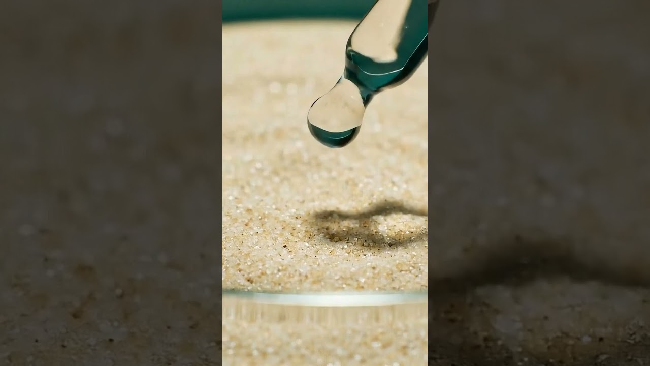 Grow your own fruits  vegetables and trees🌳